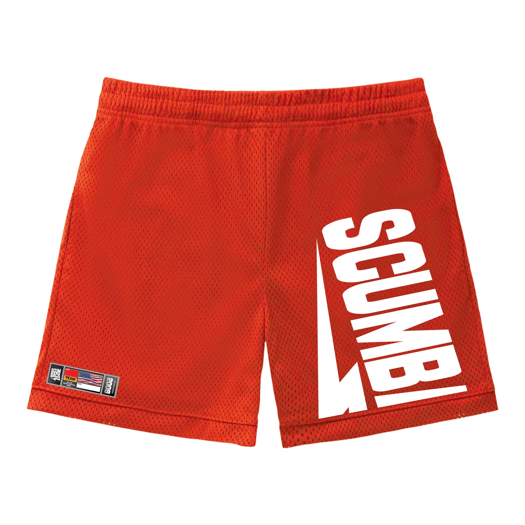Half Logo - Mesh Shorts