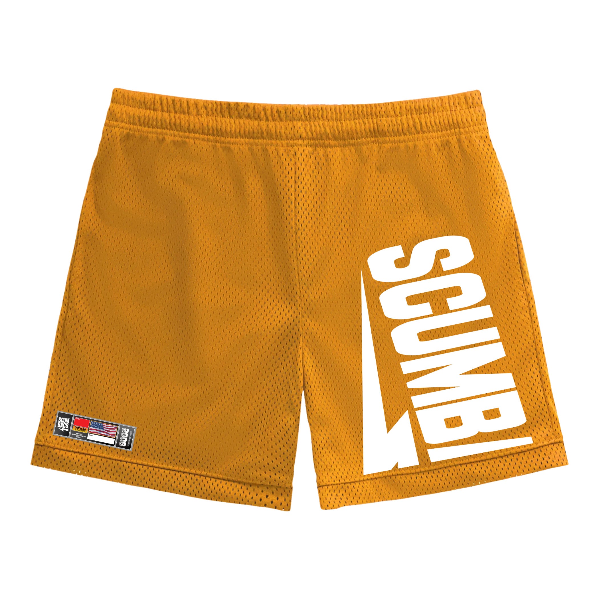 Half Logo - Mesh Shorts